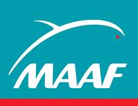 maaf.jpg